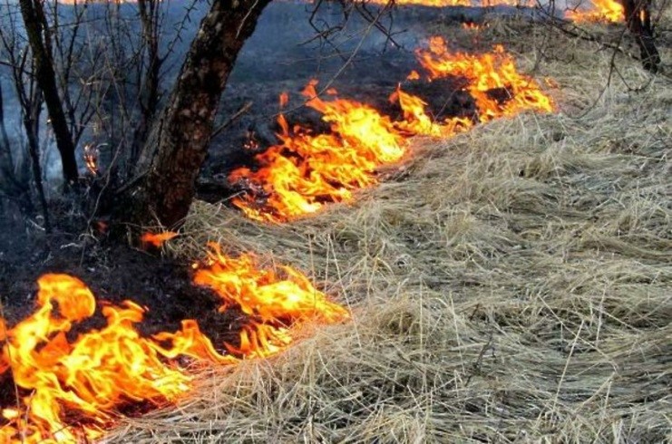 СОБЛЮДАЙТЕ ПРОСТЫЕ ПРАВИЛА.